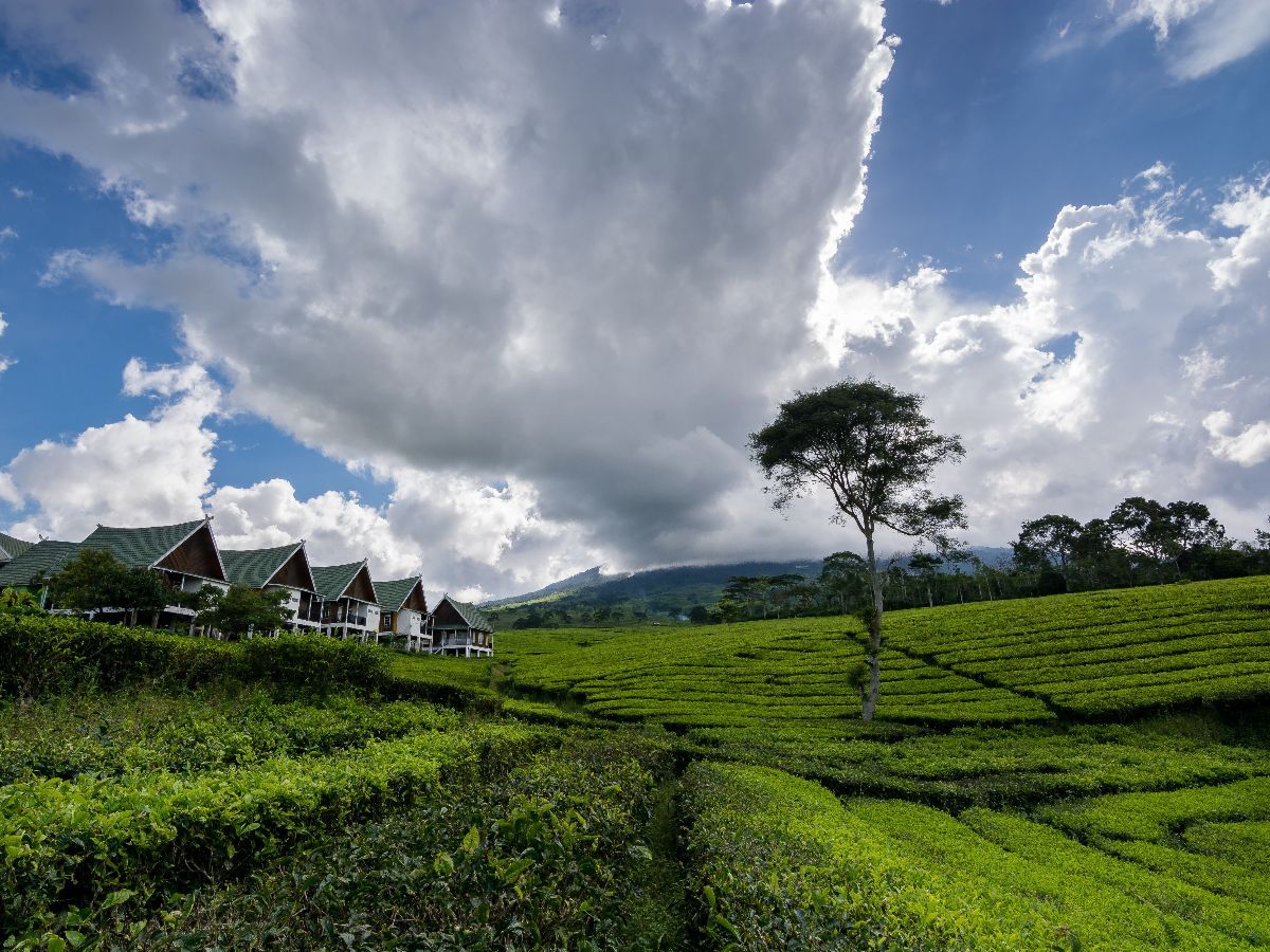 Pagar Alam