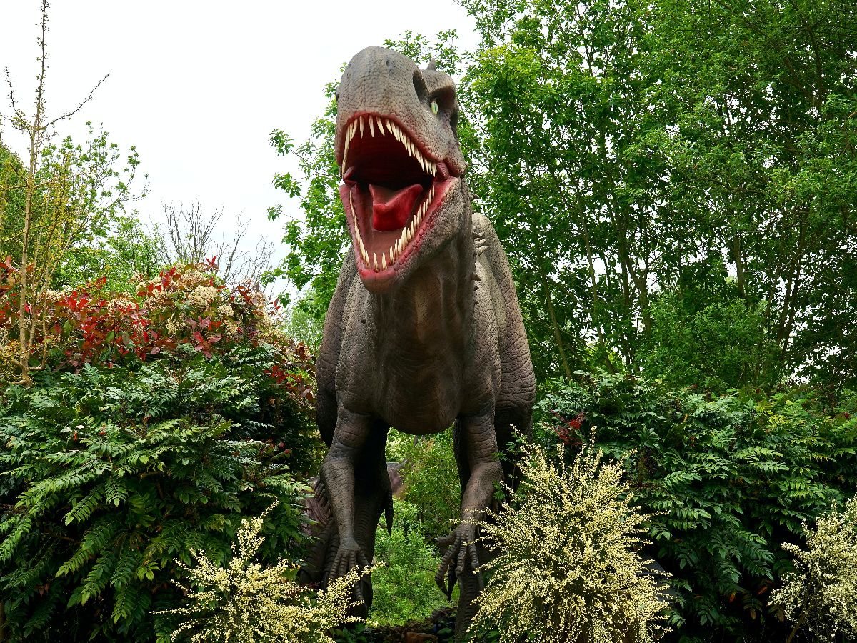 Tyrannosaurus Rex