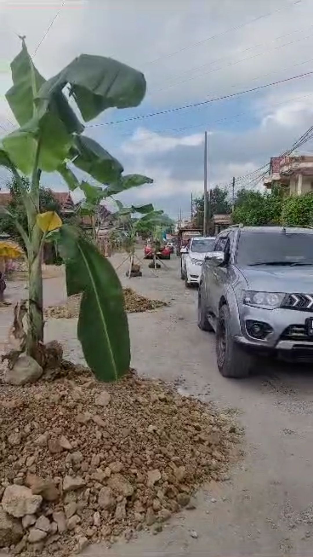 Protes Jalan Rusak Warga Tanam Pohon Pisang