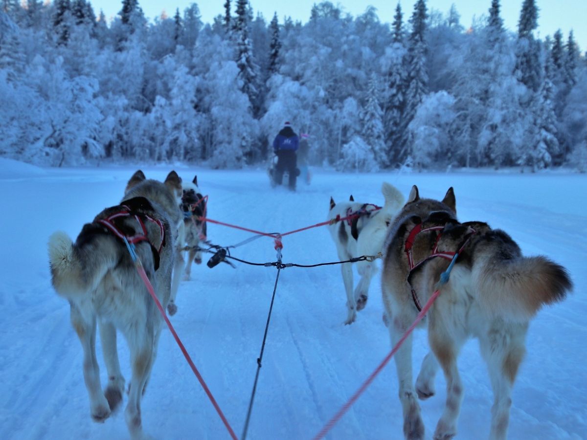 Exploring Finland: 5 Amazing Places to Visit and Discover
