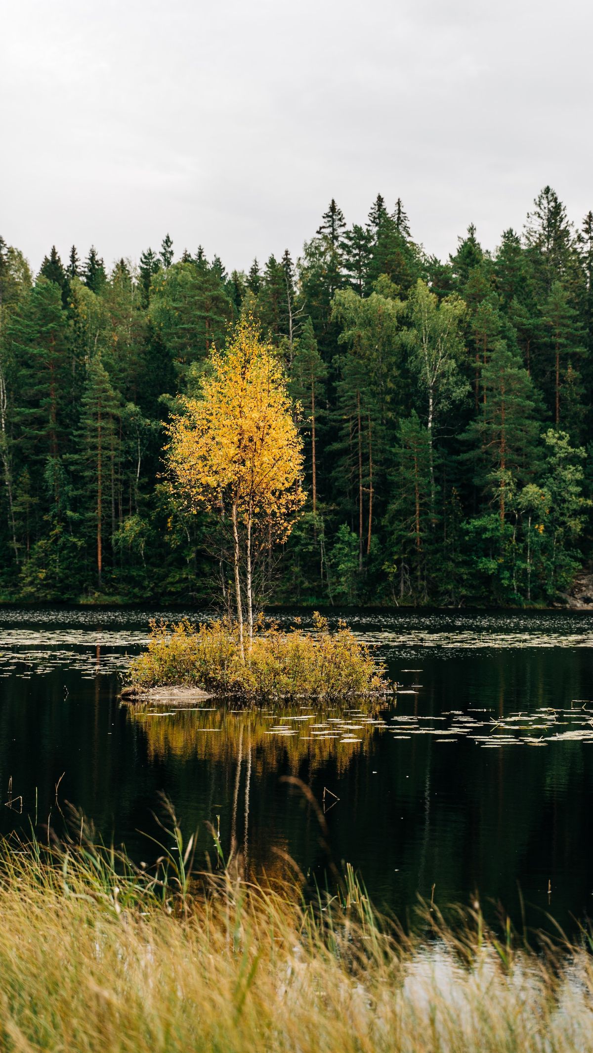 5. Nuuksio National Park - A Serene Nature Escape