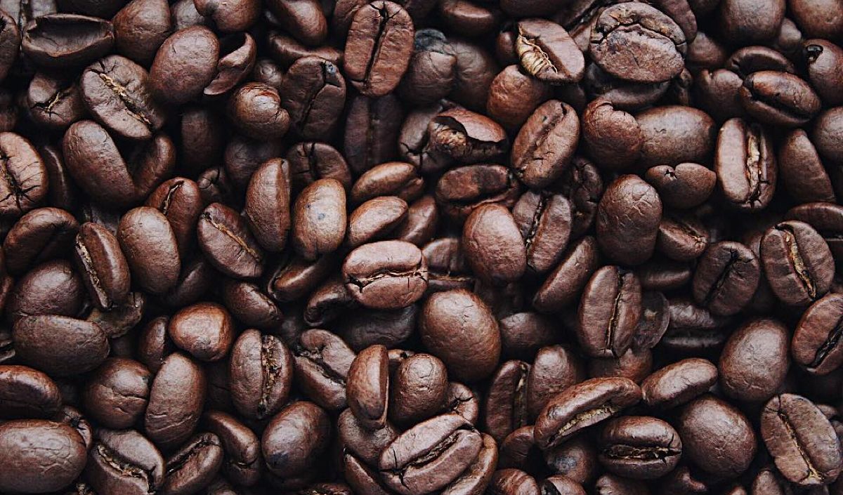 Pilih Kopi Dark Roast