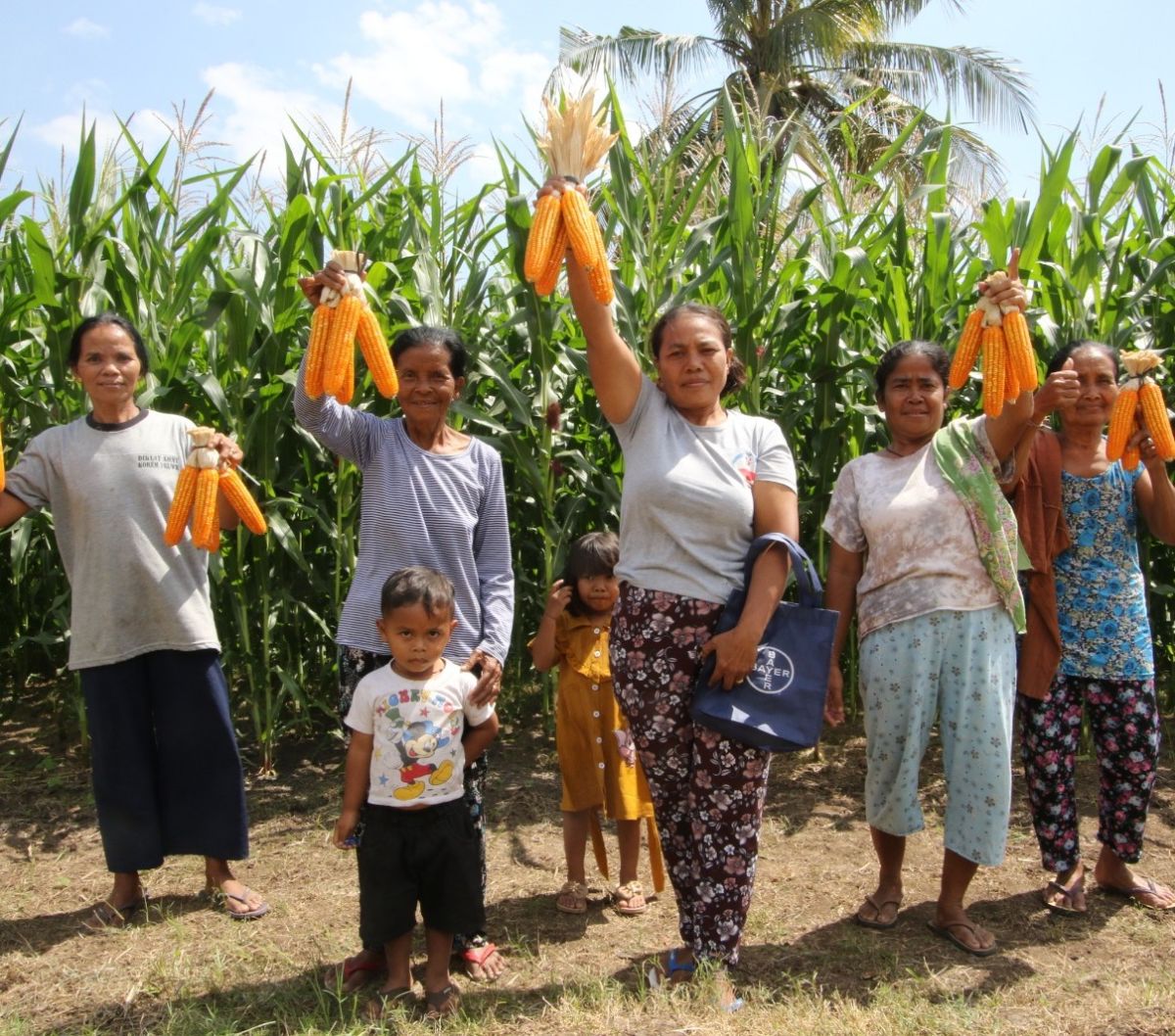 Bayer meluncurkan DEKALB DK95R, benih jagung bioteknologi komersial pertamanya untuk petani Indonesia di Bima, Nusa Tenggara Barat, Rabu (26/7/2023). Dengan benih jagung ini, para petani diklaim mendapatkan potensi peningkatan pendapatan hingga 30 persen dibandingkan dengan praktik konvensional.