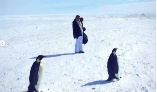 Krill adalah krustasea kecil seperti udang yang merupakan sumber makanan penting bagi ikan, paus, anjing laut, penguin, dan burung laut.