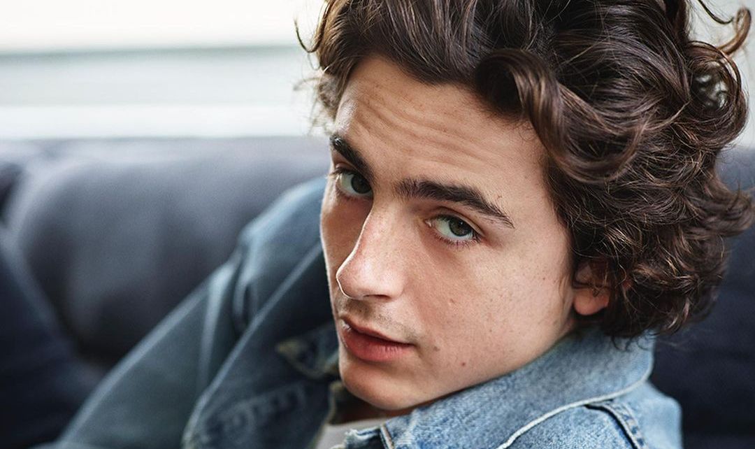 3. Timothée Chalamet