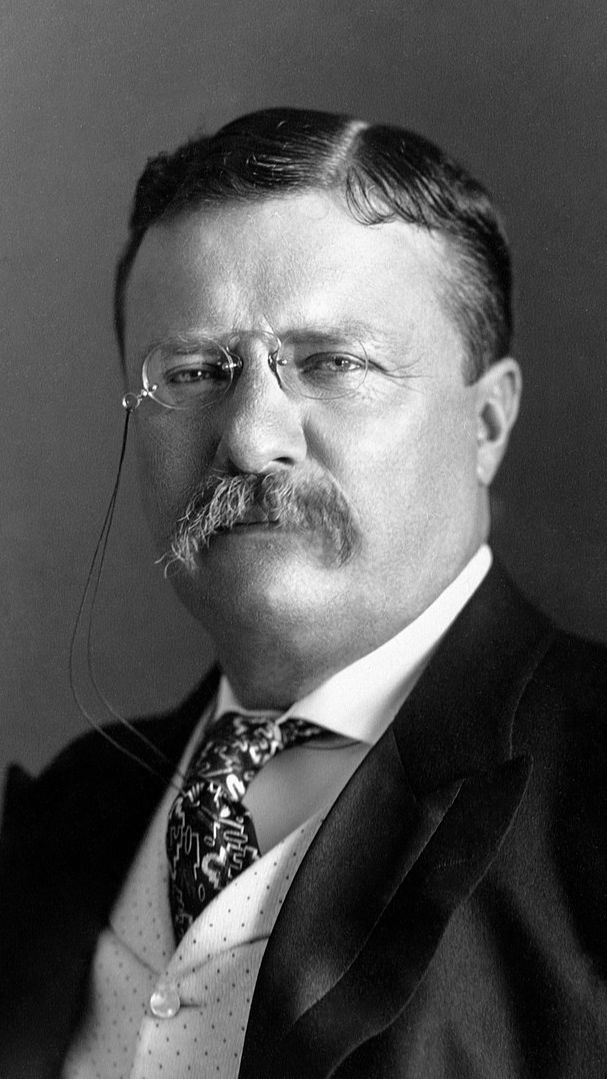 2. Teddy Roosevelt Was Behind Their Bad Reputation