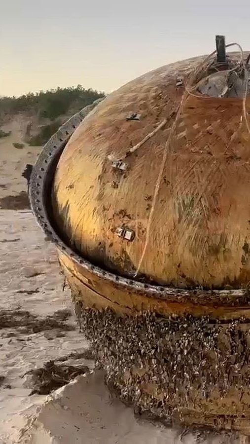 The Mysterious Object on the Australian Beach Has Been Identified