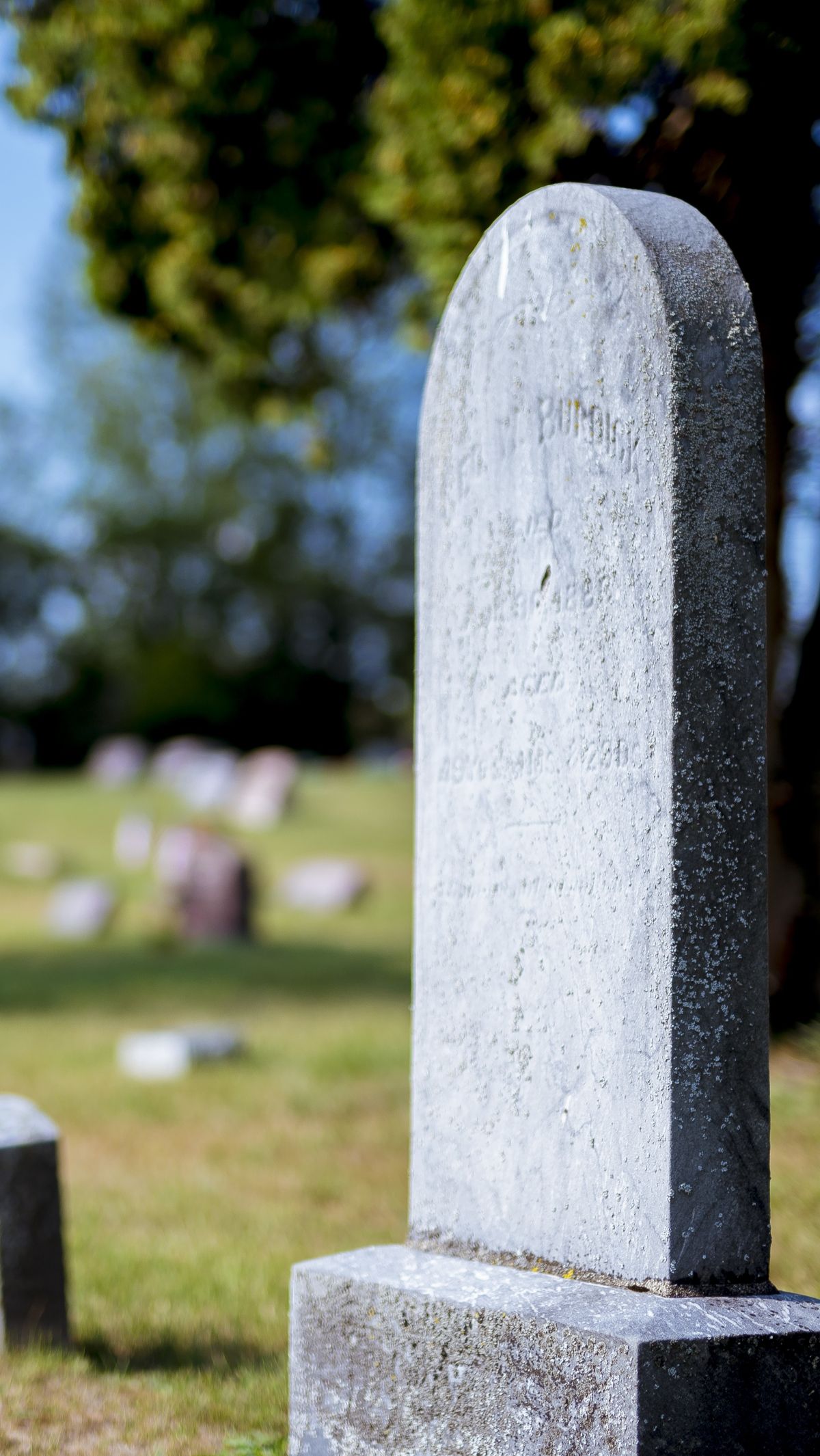 Ziarah ke Makam Para Nabi dan Sahabat Rasul, Aksi Pria Ini Curi Perhatian