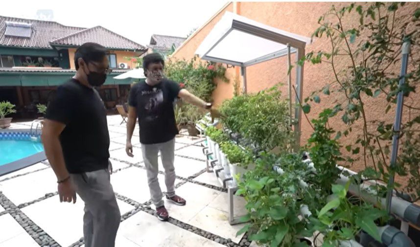 Mini Garden