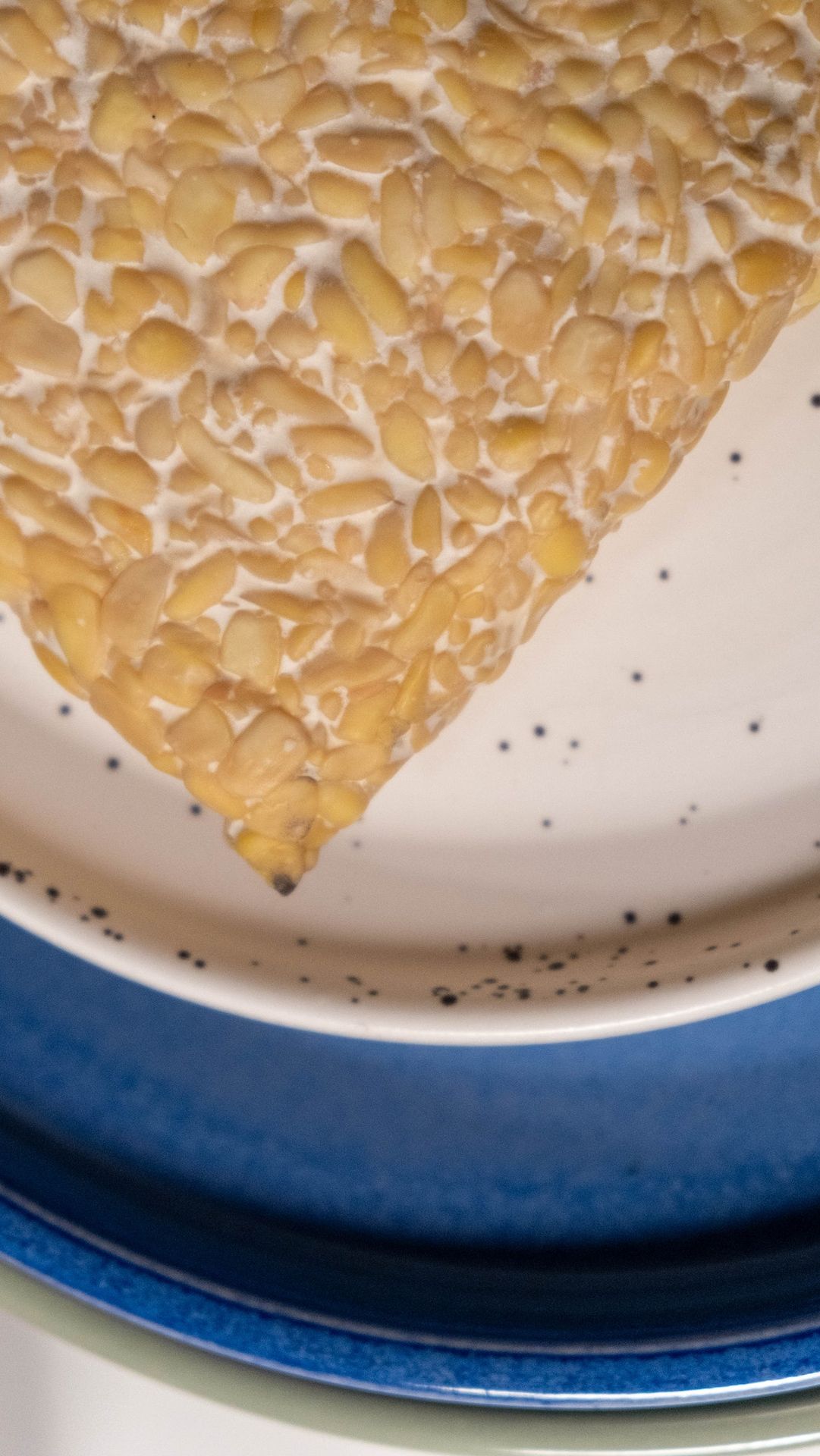 5 Great Health Benefits Of Tempeh Trstdly 5-great-health-benefits-of-tempeh-trstdly