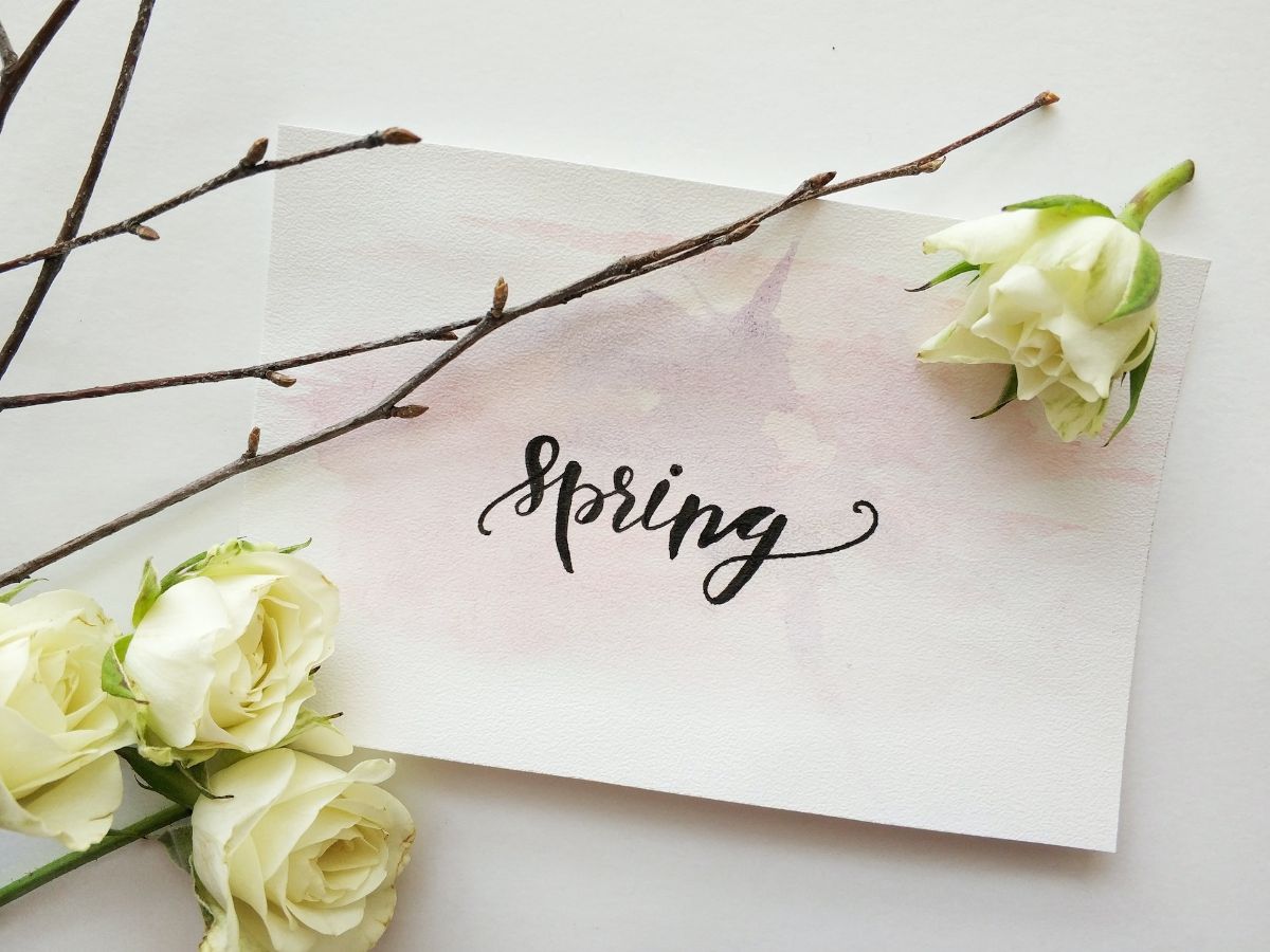 Spring Quotes Funny to Make You Smile