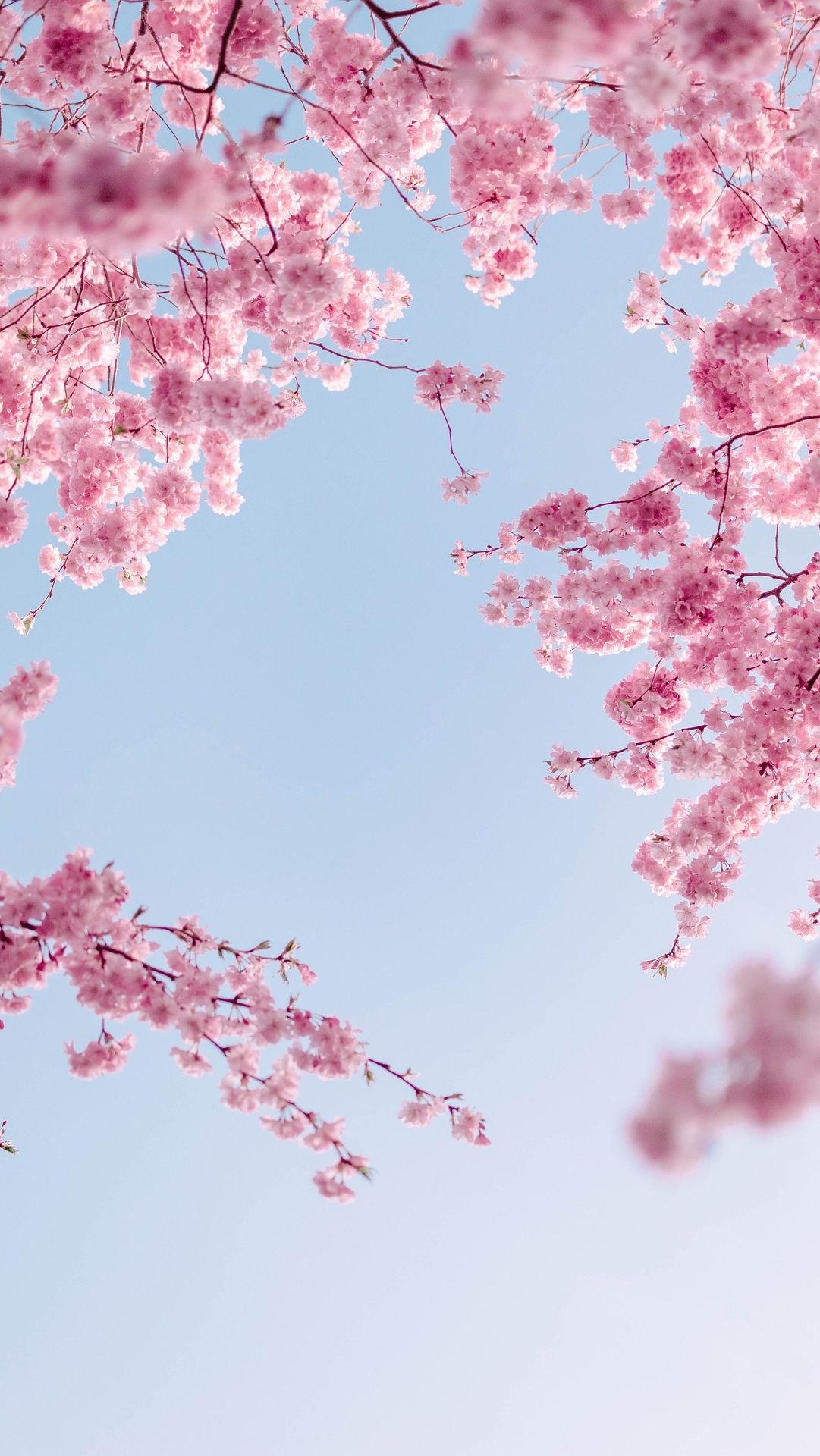 Spring Quotes Funny That Will Make You Chuckle<br /><br
/>12. 