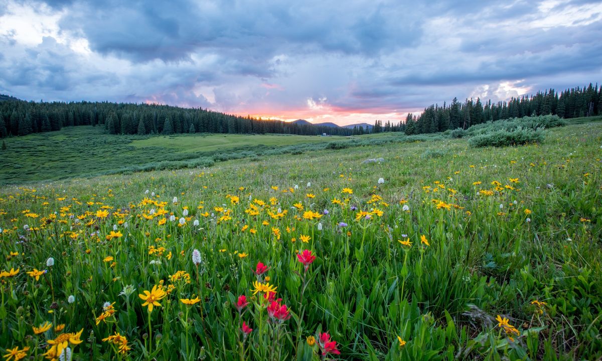 66 Spring Quotes Funny for Welcoming the Season of Renewal