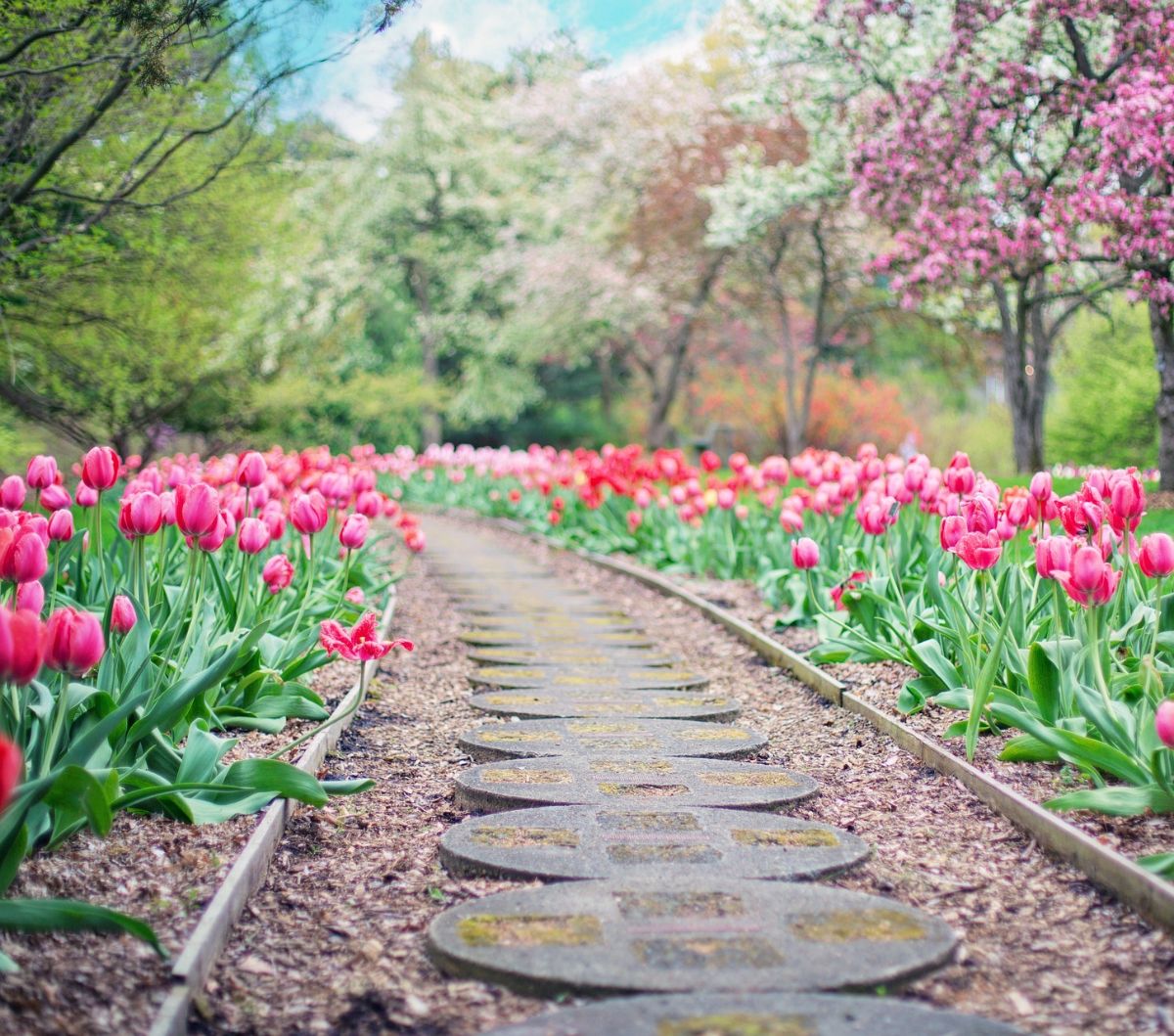 66 Spring Quotes Funny for Welcoming the Season of Renewal