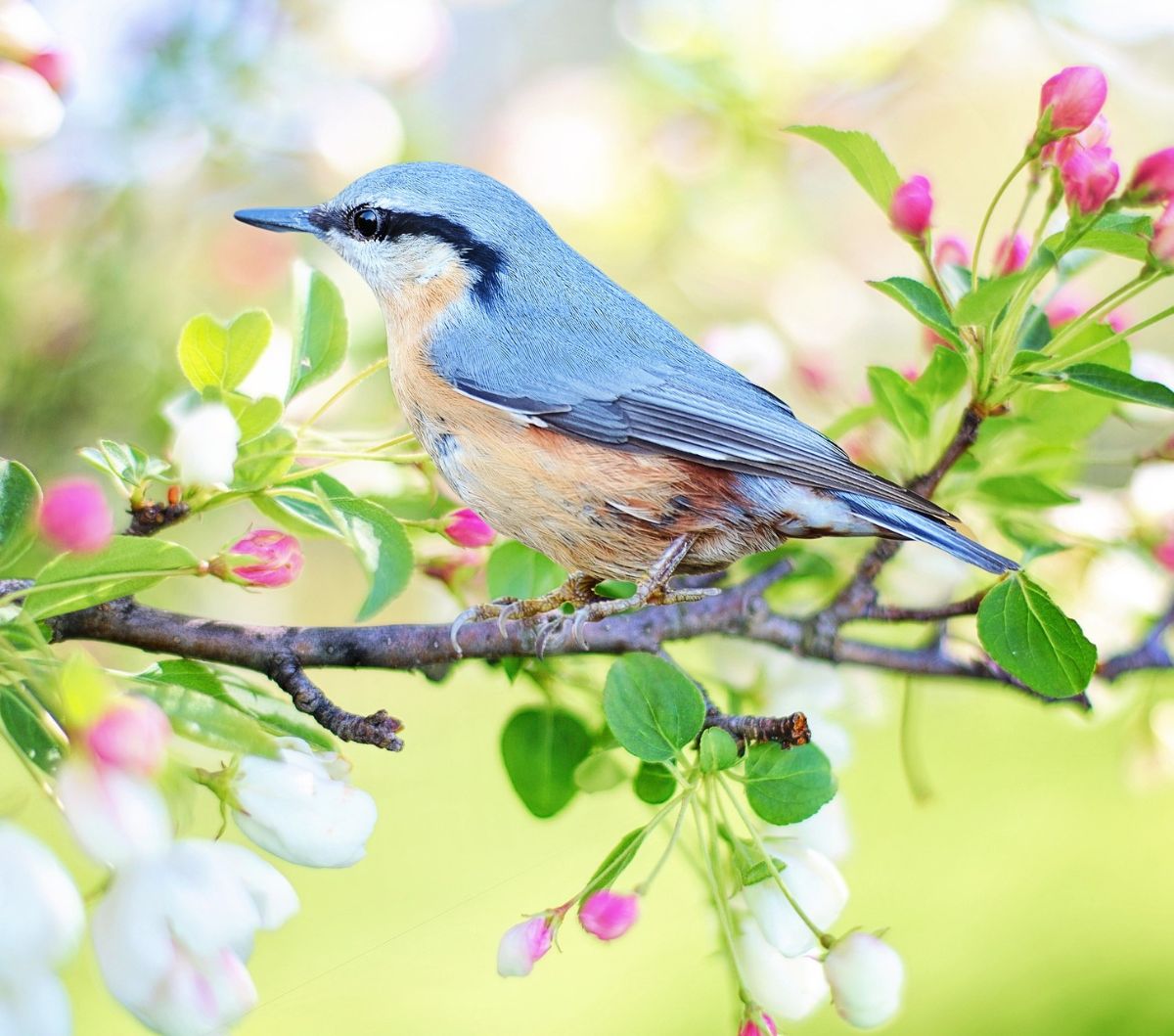 66 Spring Quotes Funny for Welcoming the Season of Renewal