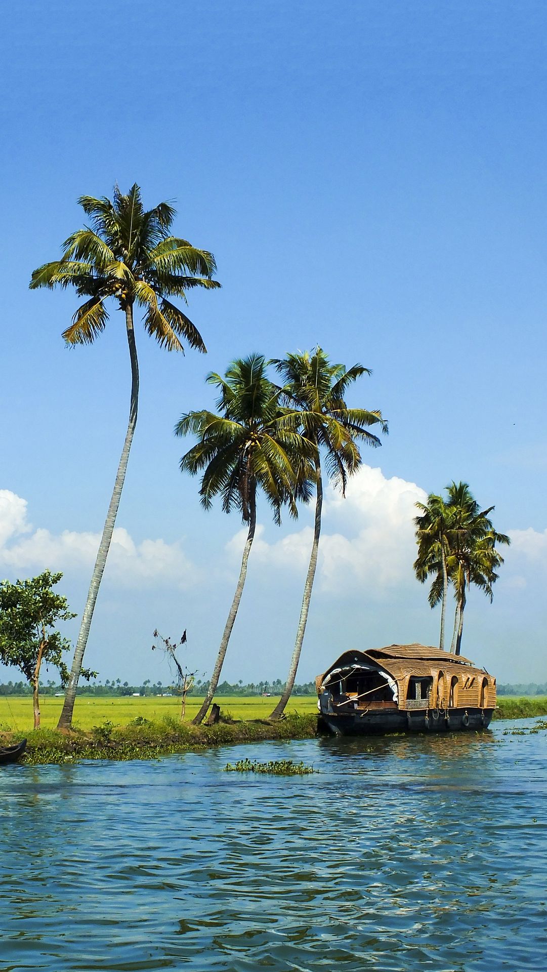 1. Alleppey (Alappuzha) - The Venice of India
