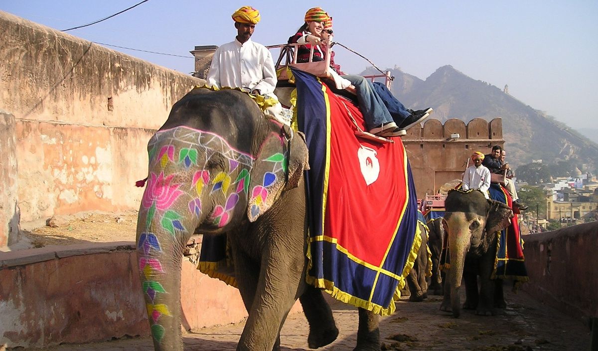 3. Many Elephants Were Used During The Construction