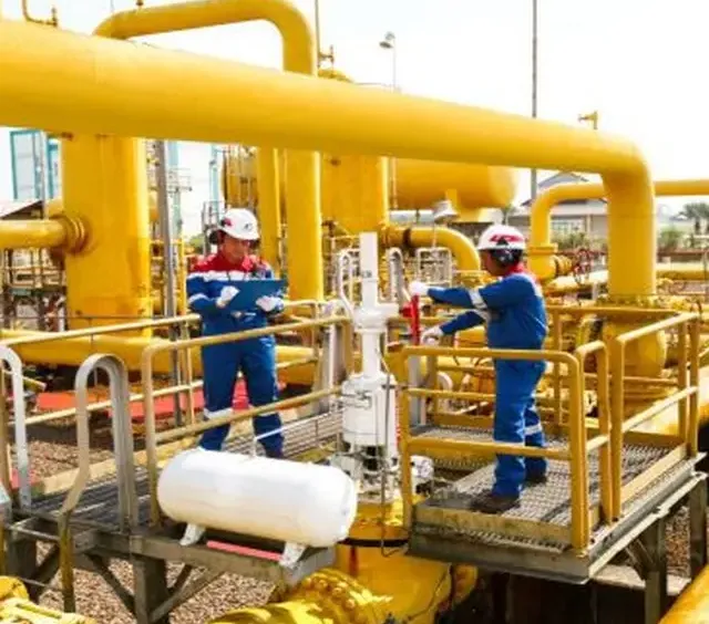 SKK Migas: Produksi Gas Diprioritaskan Untuk Kebutuhan Dalam Negeri