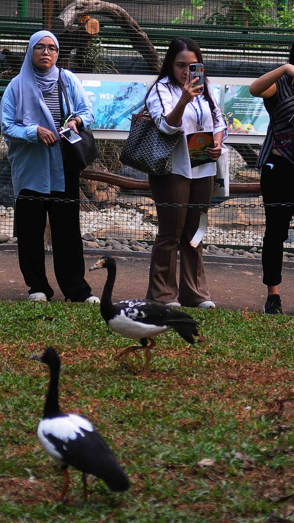 Di area itu pengunjung dapat mengamati perilaku satwa, dan lebih memahami peran penting burung dalam ekosistem.