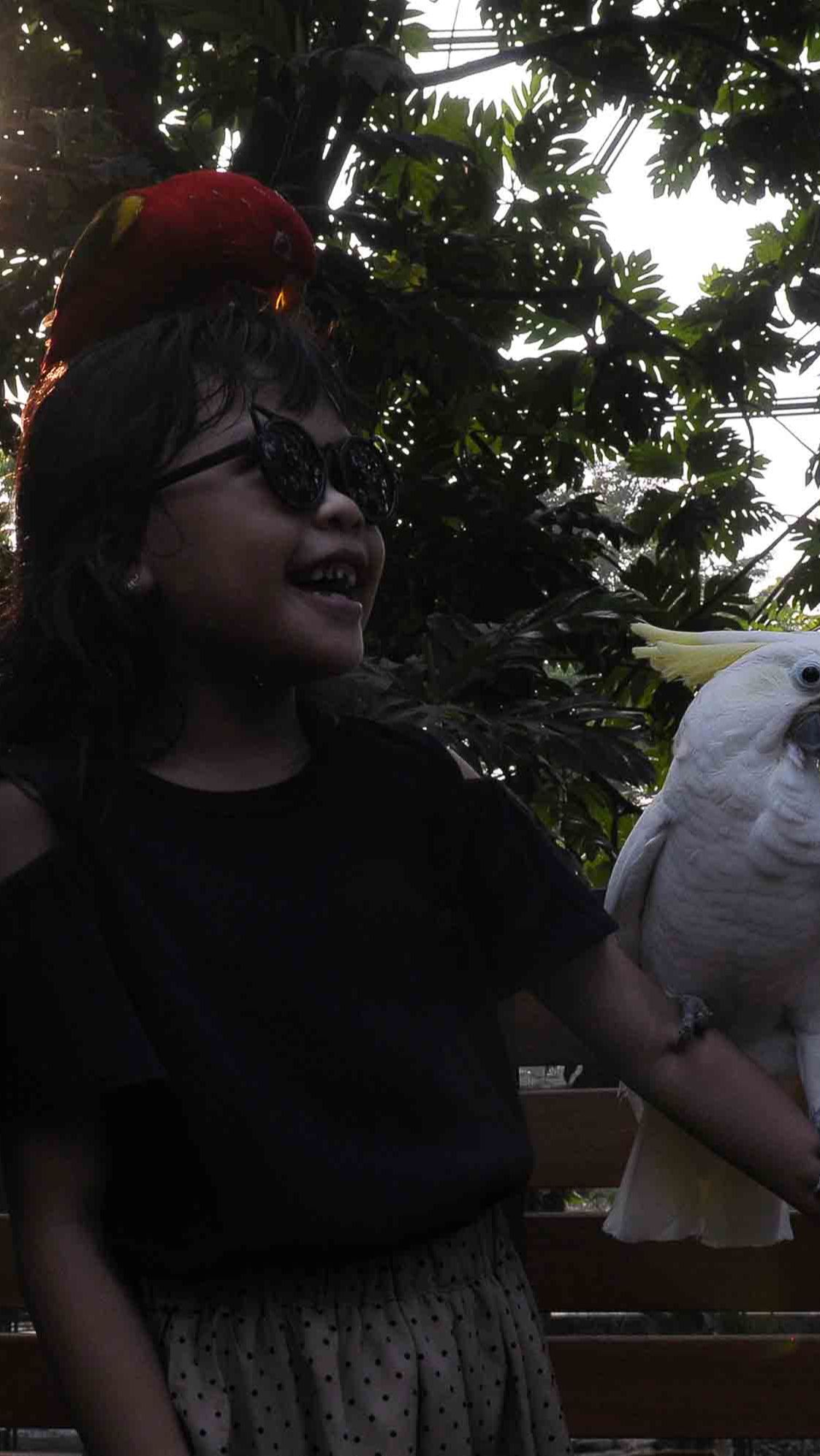 Di sini, pengunjung juga bisa berfoto maupun berinteraksi dengan satwa burung yang ada di TMII Jagat Satwa Nusantara, Jakarta, Selasa (15/8/2023).