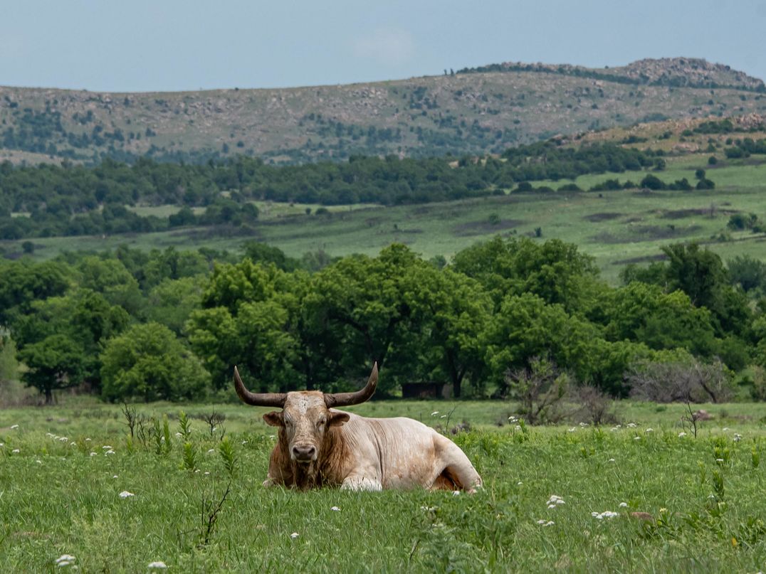 5 Best Places in Oklahoma: A Must-Visit List for New Visitors