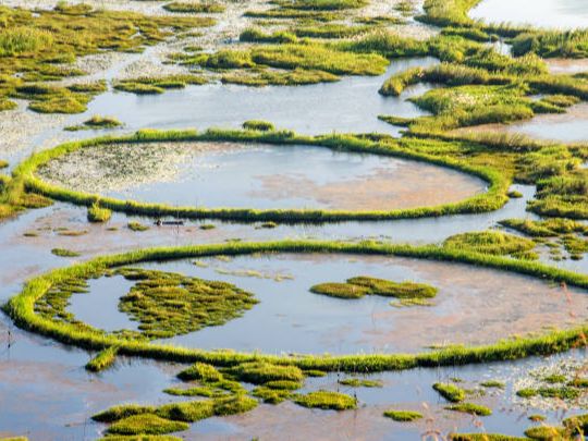 5 Amazing Hidden and Unusual Places in India That Will Leave You Awestruck