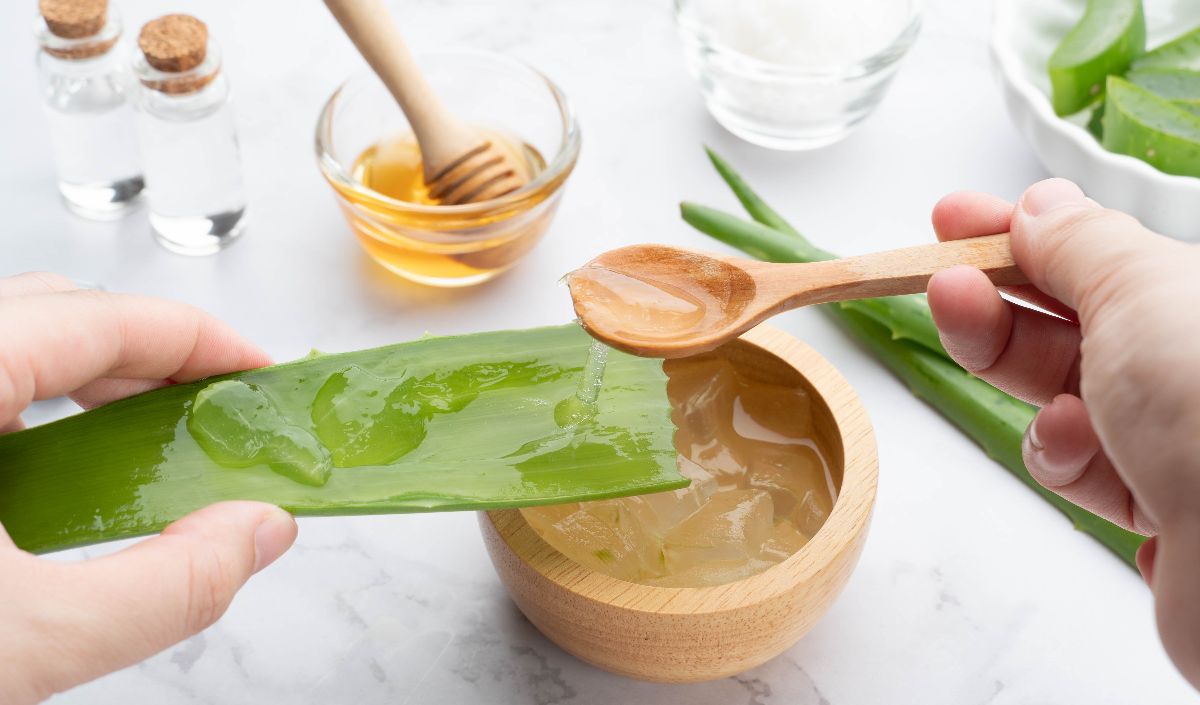 4. Aloe Vera dan Ground Rice