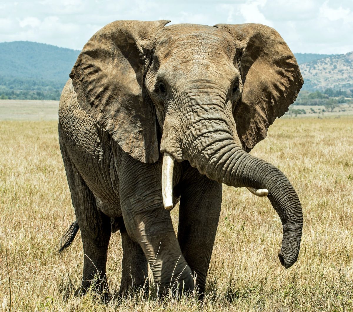 5 Natural Wonders: Enchanting and Protected Nature Tourism Destinations