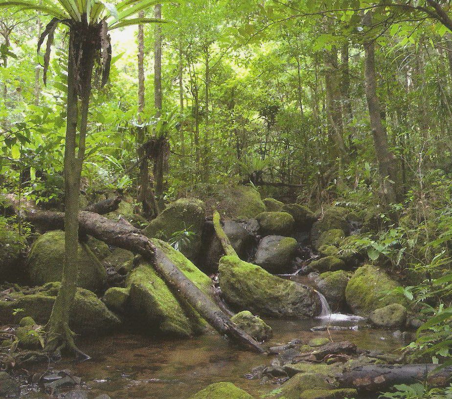 5 Natural Wonders: Enchanting and Protected Nature Tourism Destinations