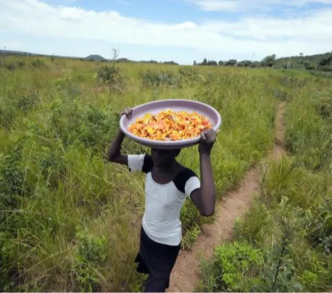 Melansir dari berbagai sumber, Masiyiwa memiliki harta kekayaan bersih sebesar USD 1,8 miliar atau Rp27 triliun (kurs Rp 15.326).