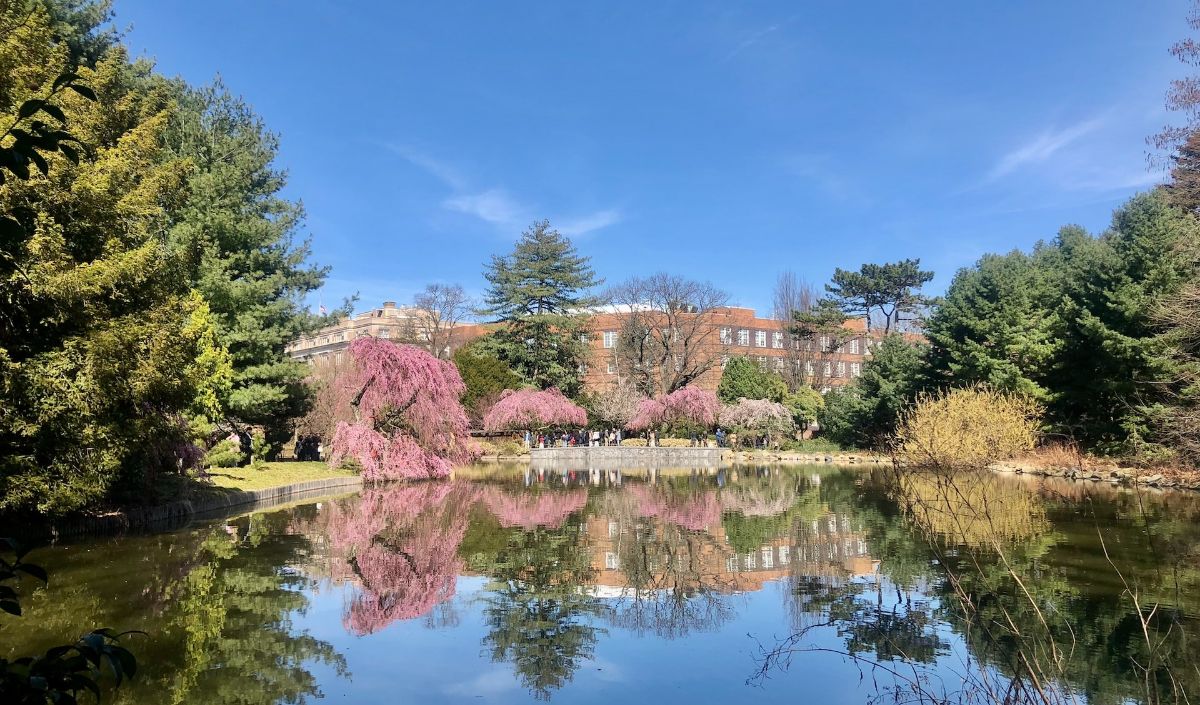 The Brooklyn Botanic Garden is located in the heart of Brooklyn, New York City. It spans over 52 acres and features a diverse collection of plants from around the world.