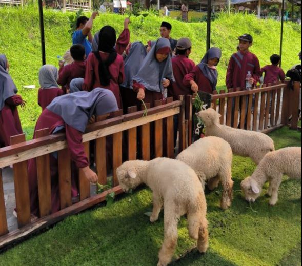 Mengunjungi Jogja Exotarium, Kebun Binatang Mini dengan Berbagai Wahana Menarik