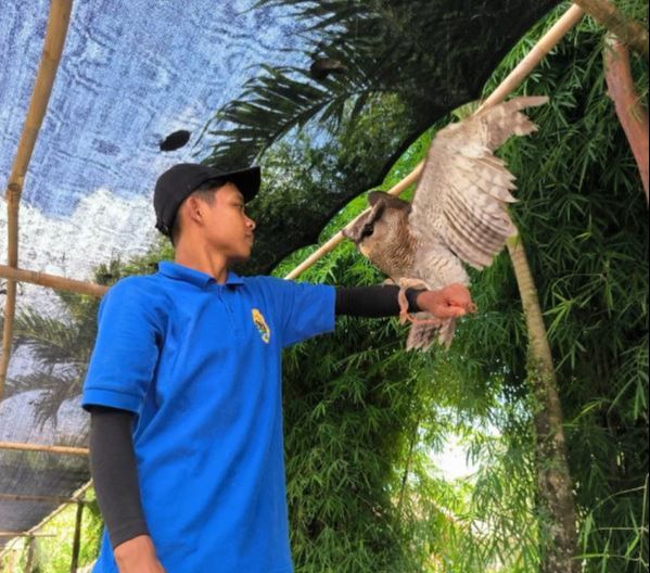 Mengunjungi Jogja Exotarium, Kebun Binatang Mini dengan Berbagai Wahana Menarik