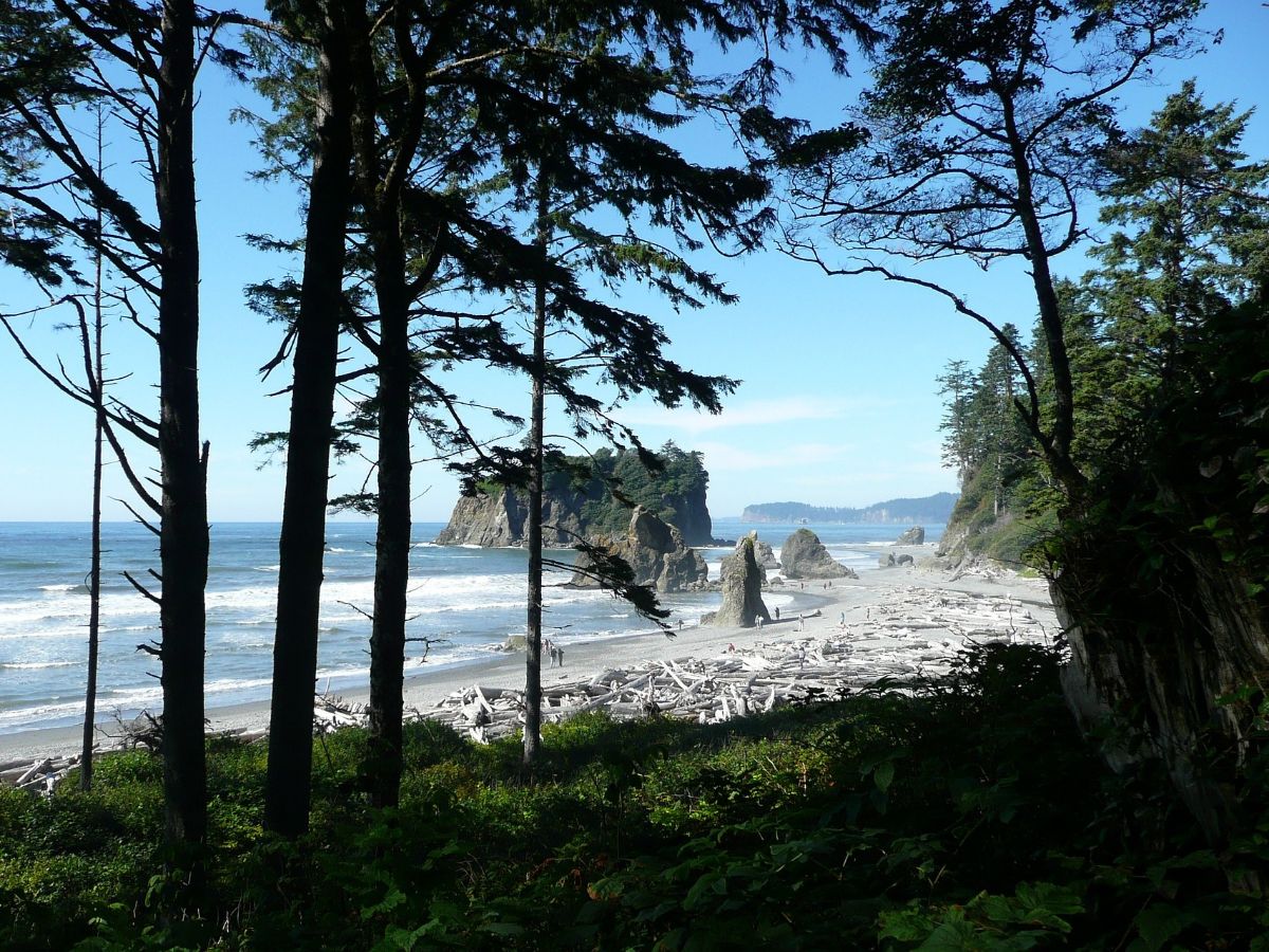 1. Washington Park Beach
