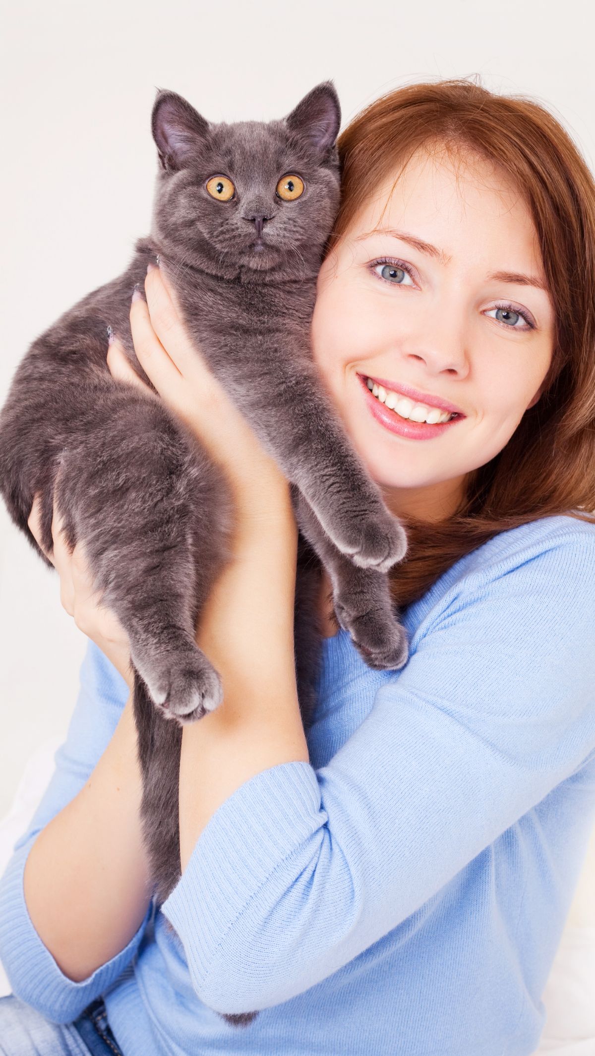 Apakah Kucing Masuk Surga? <br>Ini Jawabannya yang Perlu Diketahui Para Pecinta Anabul