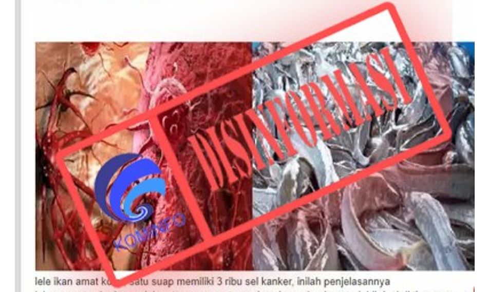 Makan Sate: Benarkah Arang Pemicu Kanker? Cek Fakta dan Mitosnya!