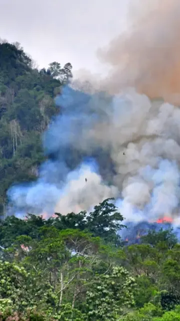 Dampak Karhutla Meluas, Udara Di Palembang Mulai Tidak Sehat