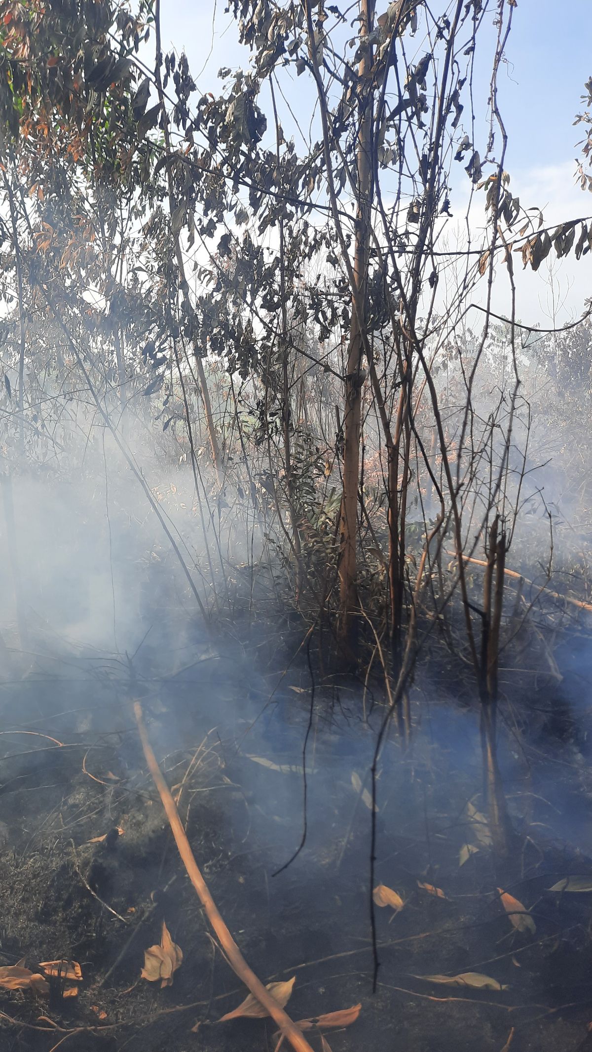 Kebakaran lahan Desa Tarai Bangun