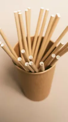 Paper straws toxic chemicals make them worse than plastics, study says