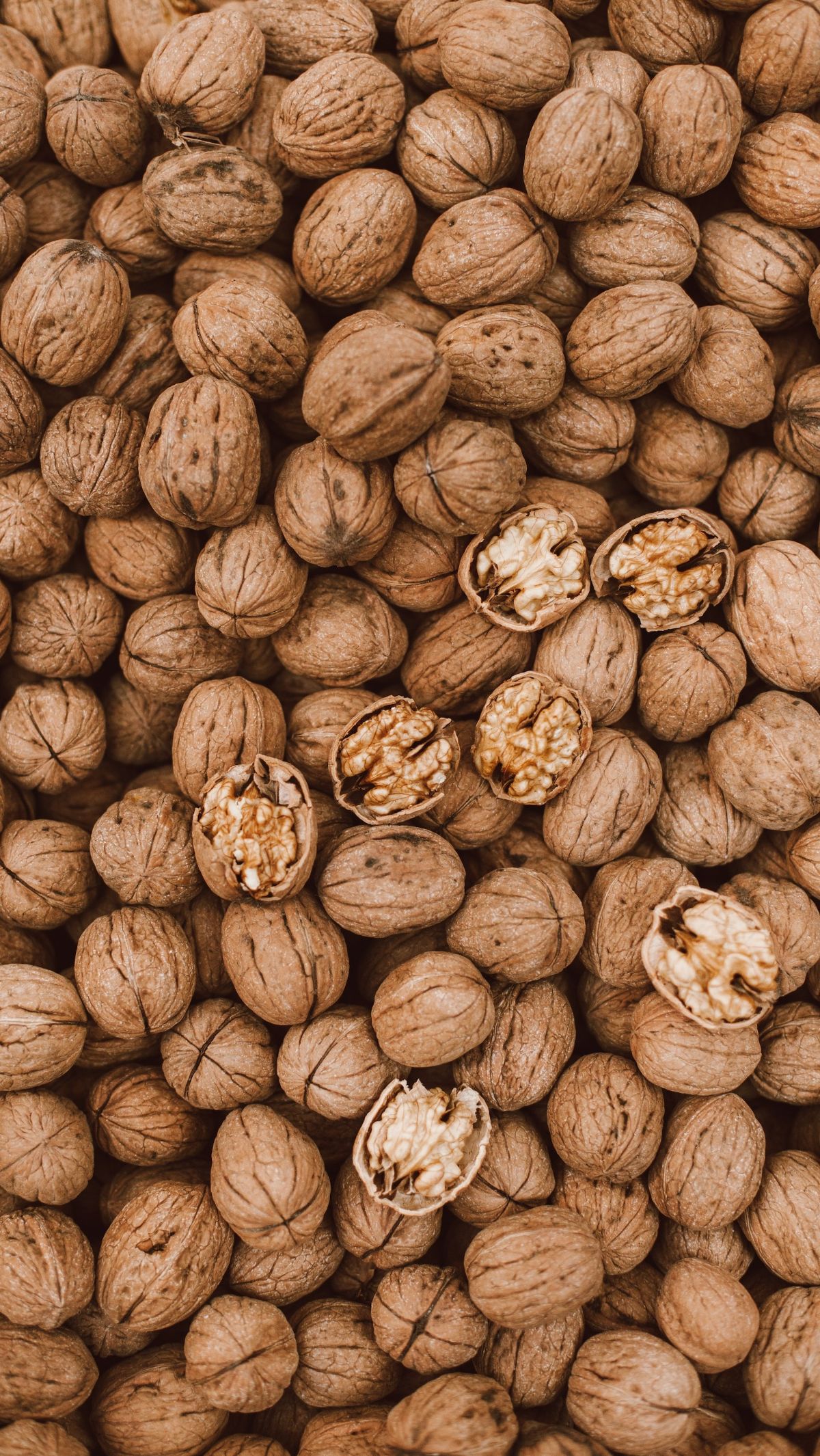 5 Types of Nuts for a Diet and Their Various Benefits trstdly