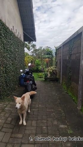 Potret Rumah Unik yang Penuh Kejanggalan, Desainnya Bikin Mikir Keras!