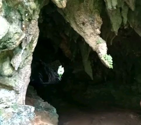 Kampung di Kebumen Ini Tersembunyi di Balik Gua Hanya Ada 5 Rumah, Begini Potretnya