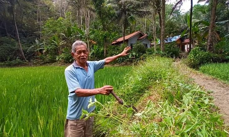 Kampung di Kebumen Ini Tersembunyi di Balik Gua Hanya Ada 5 Rumah, Begini Potretnya