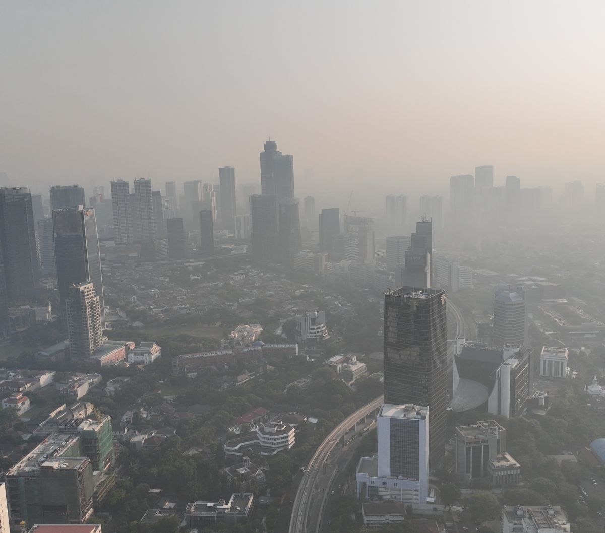 Daftar Pabrik Ditutup Gegara Sebabkan Polusi Udara
