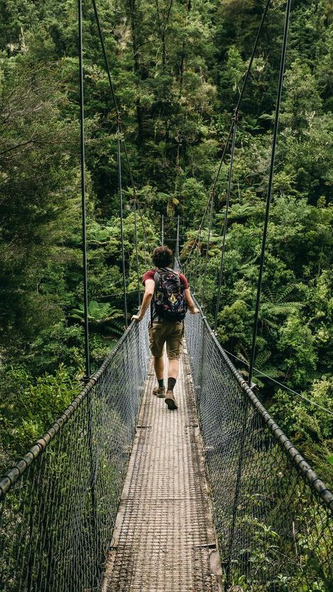 Forest exploration is an exciting adventure for certain people.

It is because people may have new experience during the exploration.