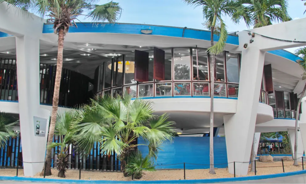 The History of the World's Largest Ice Cream Shop Legacy of Fidel