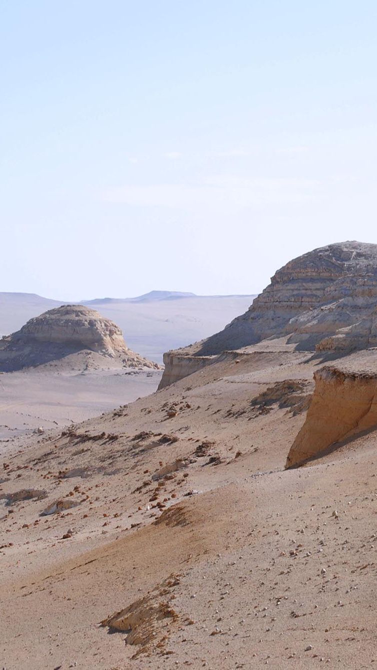 Pemandangan gurun pasir di Peru selatan yang menjadi lokasi penemuan fosil paus purba Perucetus colossus.