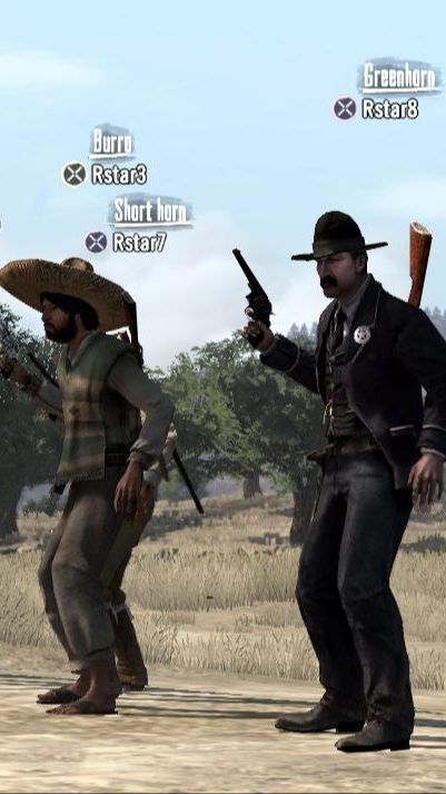 Multiplayer Mode