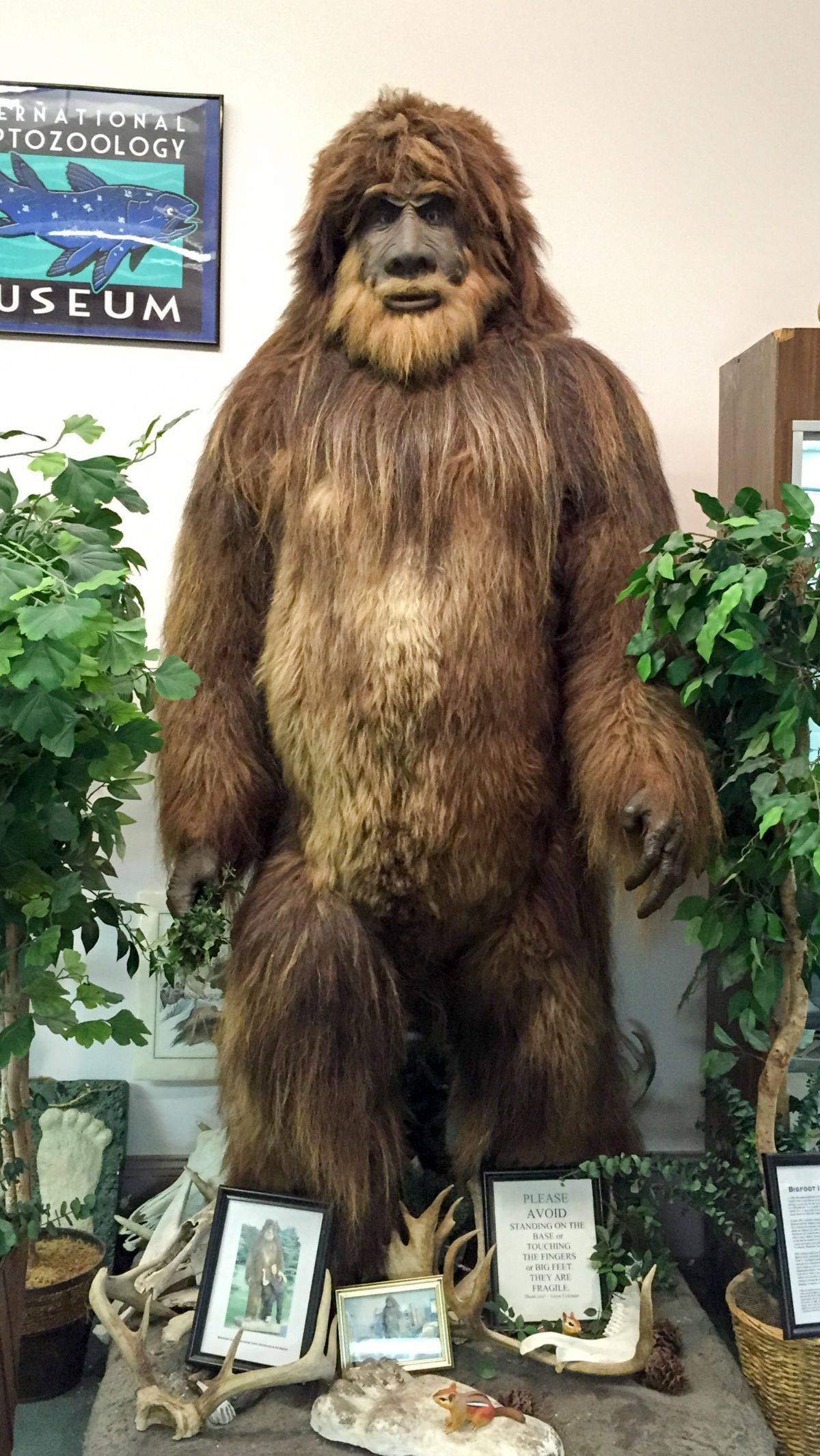6. International Cryptozoology Museum<br /><br
/>For families with curious minds and an interest in the strange and mysterious, the International Cryptozoology Museum is a charming stop. This unique museum is dedicated to studying animals that are rumored to exist.<br
/><br
/>flickr/Scott Beale