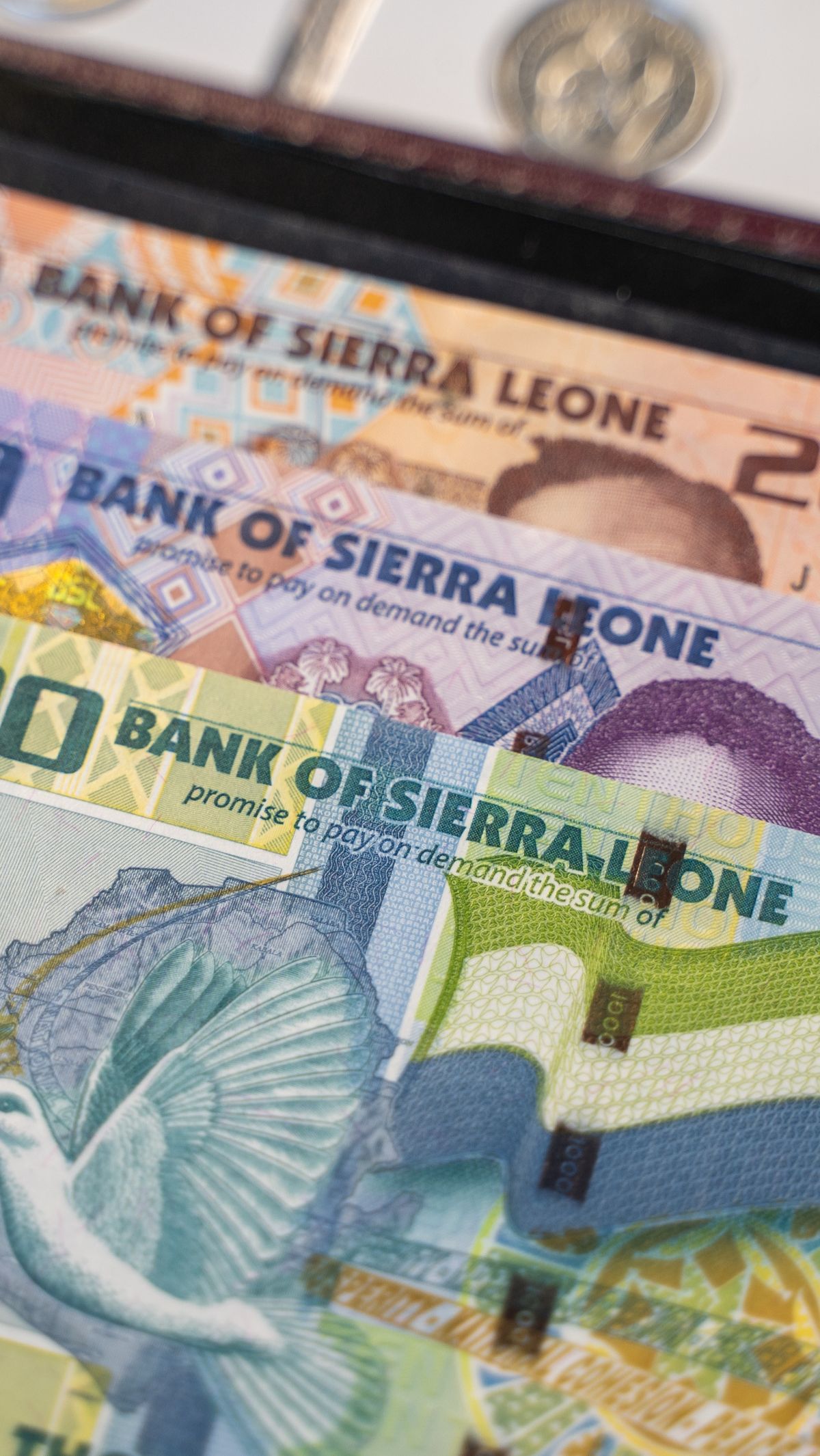 Leone Sierra Leone (SLL)